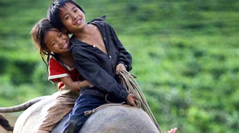 “Việt Nam-Đất nước vì hòa bình”