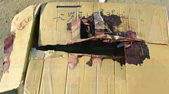 Cặp tình nhân ác độc