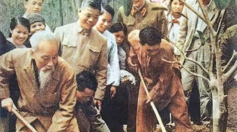 Nhớ Tết trồng cây đầu tiên của Hà Nội