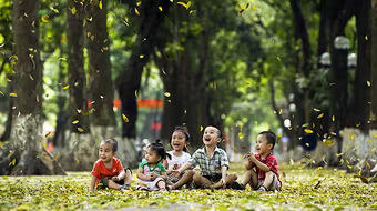 Hà Nội vào mùa sấu