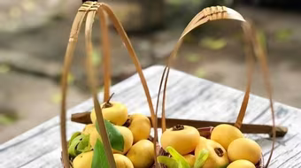 Thị thơm phố thị 