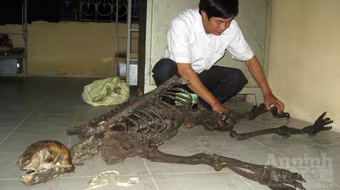 Bí mật đằng sau bộ xương mầu đen