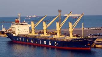 Sai phạm tại Vinalines dưới thời Dương Chí Dũng