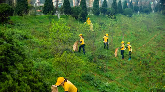 Hơn 600 người hưởng ứng lễ ra quân dọn rác, trồng cây ở Sa Pa