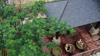 Vì sao người Nhật thích tắm onsen cả trong mùa hè?