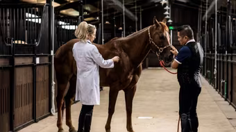 Những ‘bảo mã’ tiền tỷ tại Học viện cưỡi ngựa Hoàng Gia được chăm chút đặc biệt ra sao?