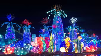 Ocean City tổ chức lễ hội và Cuộc thi đèn lồng quốc tế