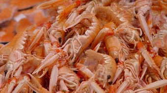 Vỏ tôm rất nguy hiểm đối với trẻ nhỏ (ảnh minh họa)