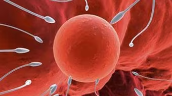 Hướng mới trong điều trị vô sinh