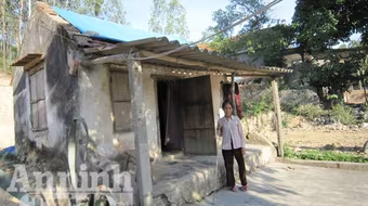 Cô giáo tật nguyền lập thư viện trên đỉnh núi