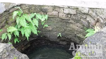 Kỳ bí chuyện giếng bị yểm bùa và sự tồn vong cả dòng họ