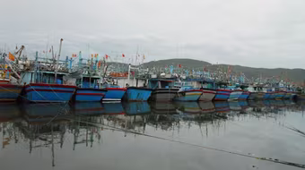 Bình Định khẩn trương ứng phó với bão số 8