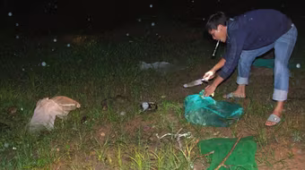 Động vật hoang dã về rừng trong đêm