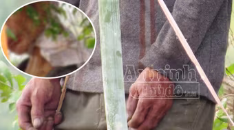 Nghi án giết người cướp của, treo xác nạn nhân tạo hiện trường giả