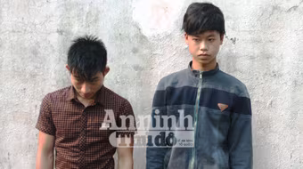 Khởi tố hai 9X "hành nghề" trộm chó