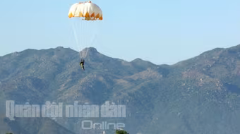Xem Phi công, đặc nhiệm thực hành nhảy dù
