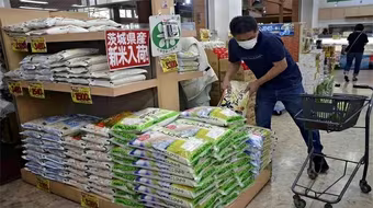 Nhật Bản bán gạo dự trữ trực tiếp cho các nhà bán lẻ