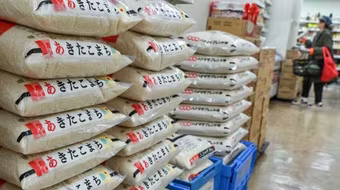 Nhật Bản lên kế hoạch bán thêm gạo trong kho dự trữ quốc gia