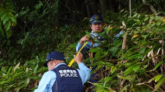 Số nạn nhân tử vong do bị gấu tấn công cao chưa từng có tại Nhật Bản
