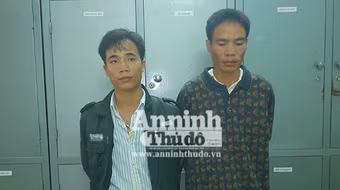 Lại một gốc sưa quý bị đốn trong đêm