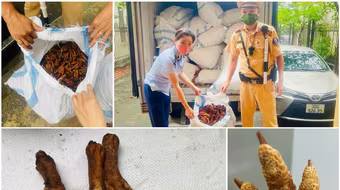 Chặn xe tải chở 1,4 tấn chân gà “bẩn” từ Hòa Bình tuồn về Hà Nội tiêu thụ