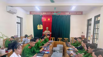 Hà Nội: Dướng dẫn doanh nghiệp làm sạch dữ liệu phương tiện và giấy phép lái xe