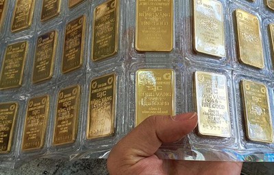 Khối lượng vàng SJC đấu thầu thành công tăng mạnh, lên tới 12.300 lượng