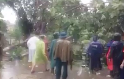 Chung sức cứu người đang đi bất ngờ bị cây đổ trúng trong mưa bão