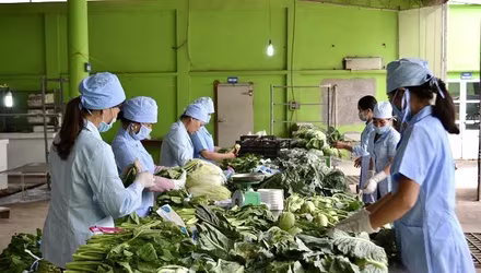 Hà Nội sẽ kiểm nghiệm trung bình 1.000 mẫu rau điển hình mỗi năm