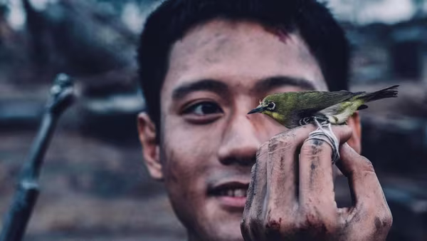 Cục Điện ảnh thông tin về quy trình chuẩn bị hồ sơ dự Oscar của "Mưa đỏ"