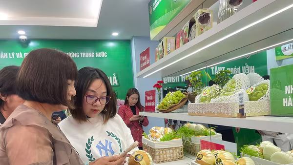 Mở cửa phòng trưng bày hàng thật- hàng giả