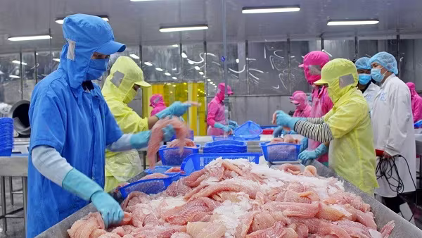 Xuất nhập khẩu với thị trường CPTPP tăng mạnh