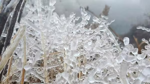 Bắc bộ chuẩn bị đón đợt rét đầu mùa, có thể xuất hiện sương muối