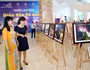 Triển lãm ảnh về "Biển đảo Tổ quốc"