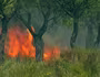 Cháy lớn đe dọa khu bảo tồn tự nhiên ở Tây Ban Nha
