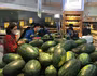 Để dưa hấu không ùn ứ cửa khẩu và nông sản Việt có đầu ra đa dạng, ổn định