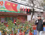 Lên ngay chợ hoa Hàng Lược để thấy Tết về