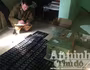 Hơn 14.000 phụ kiện điện thoại, máy tính không rõ nguồn gốc bị thu giữ