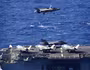 [ẢNH] Siêu tàu đổ bộ Mỹ tập trận cùng tiêm kích tàng hình F-35B ngay "cửa ngõ" biển Đông