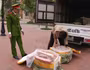 Phát hiện vụ vận chuyển 1,2 tấn thực phẩm bẩn