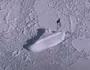 Cư dân mạng "phát sốt" với tàu băng 120m bí ẩn trên Google Earth