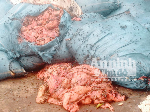 Hà Nội: Phát hiện cơ sở sản xuất gần 5 tấn mỡ bẩn, đầy ruồi nhặng