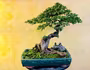 Trưng bày nghệ thuật Bonsai Phố cổ
