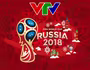 VTV đưa World Cup 2018 tới khán giả qua kênh nào?