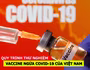 [CLIP] Quy trình thử nghiệm vaccine ngừa Covid-19 của Việt Nam