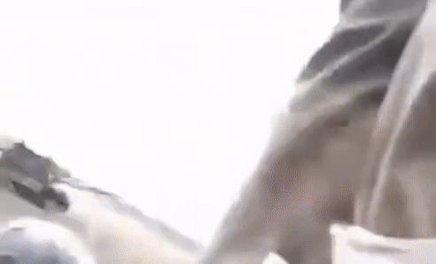 'Lão tướng' T-62M Nga đội 'mũ sắt' xung trận đối đầu xe tăng Ukraine tại Kherson