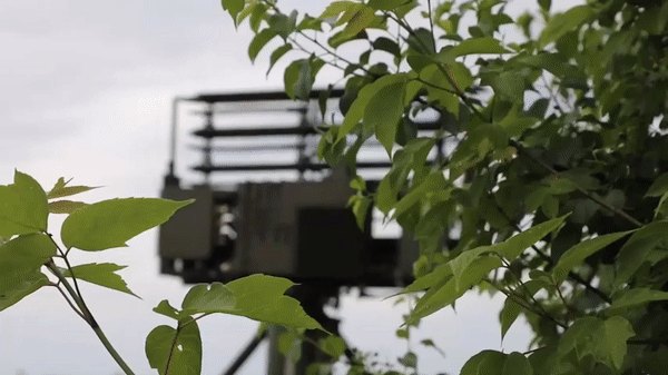 Tổ hợp phòng không Strela-10 Liên Xô bắn hạ UAV trong tác chiến hiện đại