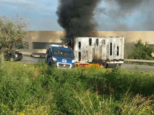 Italia: Xe bọc thép chở tiền bị cướp như phim