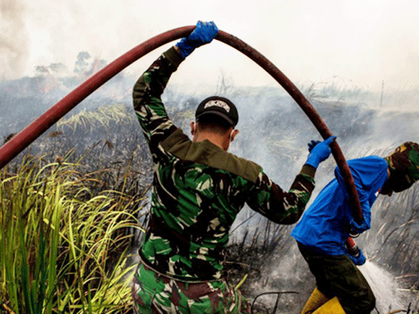 Căng thẳng vì cháy rừng