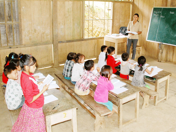 Bó rau, khúc mía: Quà quý ngày 20-11